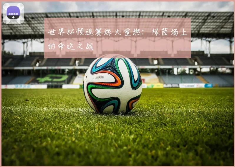 世界杯预选赛烽火重燃:绿茵场上的命运之战