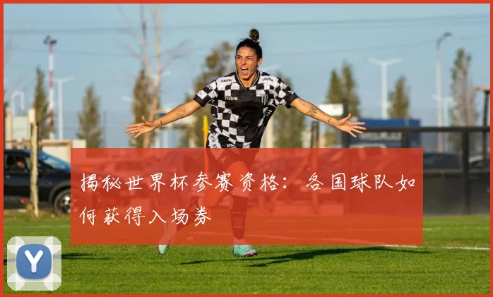 揭秘世界杯参赛资格:各国球队如何获得入场券