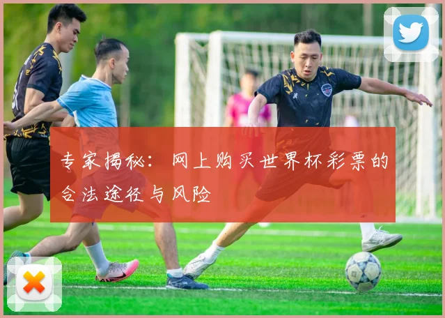 专家揭秘：网上购买世界杯彩票的合法途径与风险
