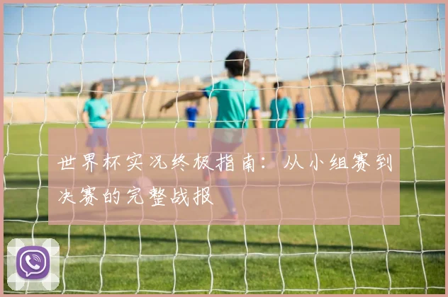 世界杯实况终极指南：从小组赛到决赛的完整战报