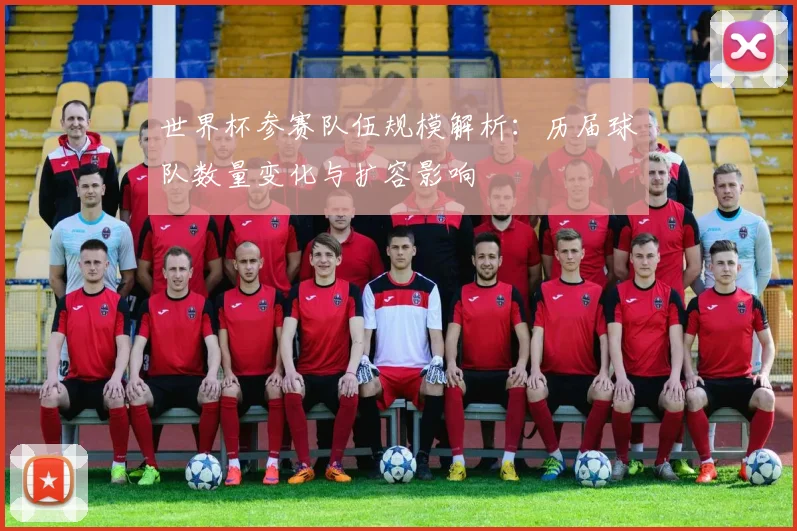 世界杯参赛队伍规模解析：历届球队数量变化与扩容影响