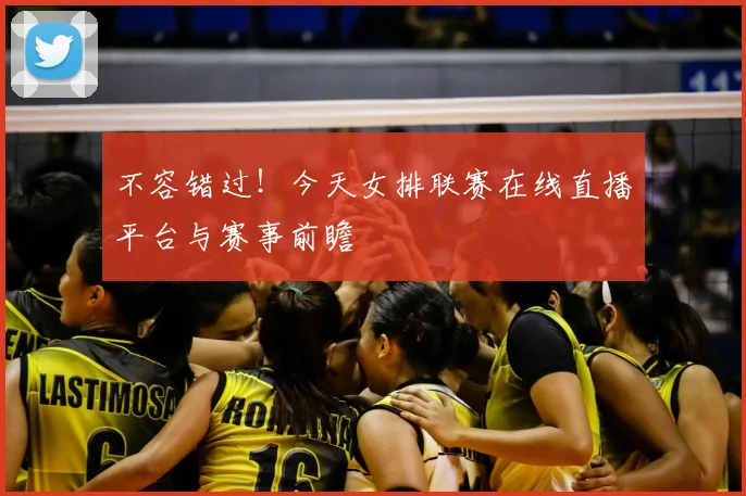 不容错过！今天女排联赛在线直播平台与赛事前瞻