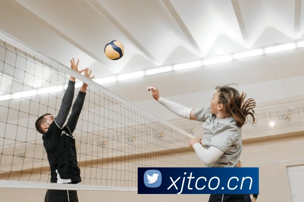 App Interface Preview