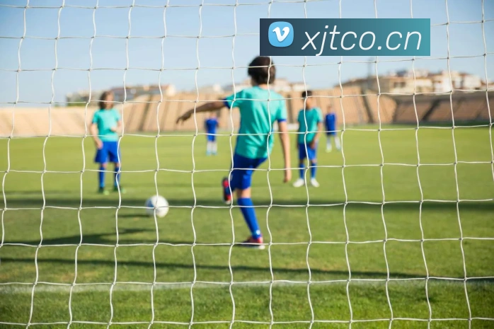 华体app官网登录入口APP 封面图